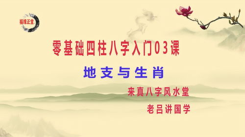 零基础四柱八字入门04课 十二地支五行属性及月建 