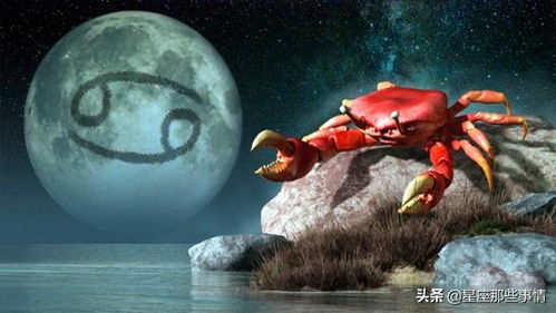 12星座的爱情危机在哪方面