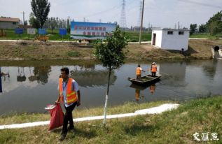 全国首创跨省治水 五联机制 , 苏鲁边界联动共破 微山湖难题