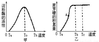 植物色素提取分离实验 图片搜索