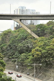 香港最高天桥成 自杀黑点 一个月添三亡魂 