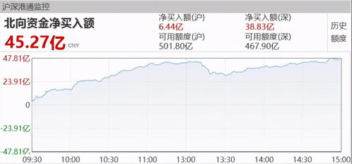 新股601985明天是中签日，我想问下什么时候可以买入，没有申购