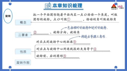 人教版九 上 第23章 旋转 本章归纳复习 课件版 