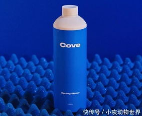 Cove推出可生物降解水瓶可作为塑料水瓶的替代品 