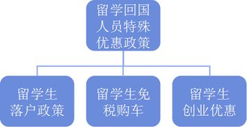 留学生回国买车免税政策？留学生所购免税车 都免什么税