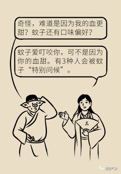 被蚊子咬的经典语录