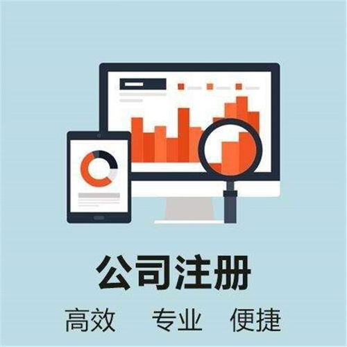 该注册什么类型的公司？