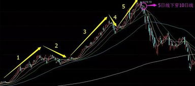 你买的股票多长时间才抛的？为什么？