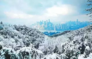 管它雾雨晴雪天 咱大重庆都是一副画 