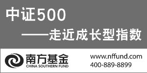 可以和基金南方500的组合的有哪些？