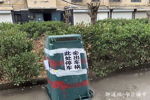 山东高唐一小区垃圾桶贴上雷人标语,对乱停车者用词让人大跌眼镜