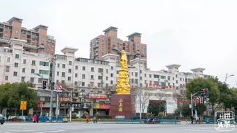 上海浦东私藏了一座 千年小镇 美景美食嗲到飞起 终于要在全国出名了
