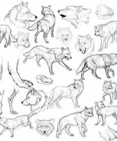 素描插画教程 够你画完一整年的1000个简笔绘画教程 狼的画法