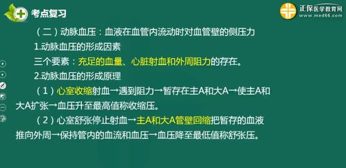 医学基础知识血液循环系统高频考点 动脉血压 静脉血压 