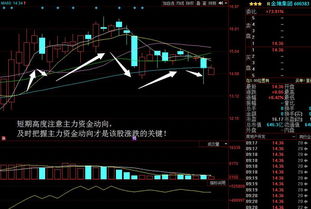 大单小单中单流入天量说明主力什么意图