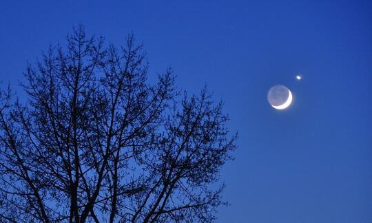 晨霁2018年11月份星座运势 白羊重回激情