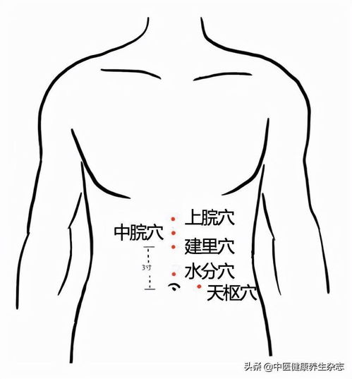 脾胃病 三分治,七分养 ,按摩 艾灸这个穴位,可健脾养胃 温中补虚