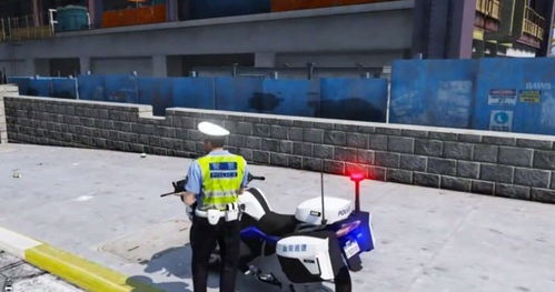 中国警察模拟器特警出击2(Police set weapons patrol simulator)