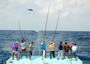 马尔代夫哪个岛最适合钓鱼（马尔代夫能钓鱼吗）