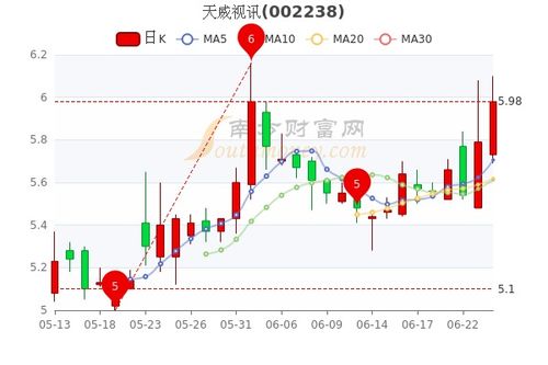 四川川大智胜软件股份有限公司