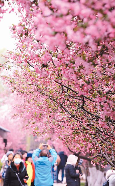 中国旅游春暖花开