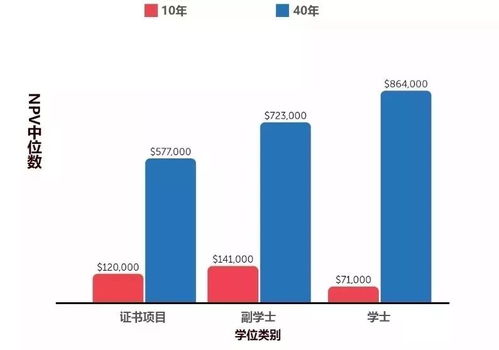 回报率较高的项目有哪些？