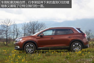 豪华版值得购买 DS首款SUV DS 6全系导购 全文 