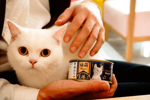 猫咪主食罐头哪个牌子好 2021性价比高的猫罐头