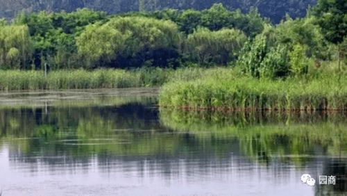 湿地公园旅游概念