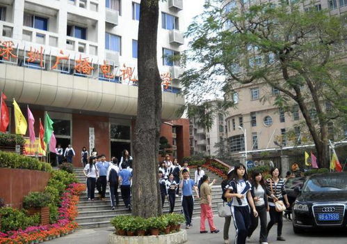 官宣 深圳这所大学正式更名