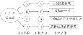 下面关于大肠杆菌的描述，不正确的是（　　）A．没有成形的细胞核B．能将无机物合成有机物，贮存能量C．