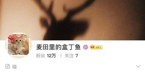 焉栩嘉前女友小盒鱼要做网红 特意改网名并让网友取关,用意明显