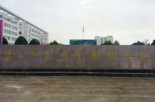 河池学院 广西师范学院师园学院是什么院校