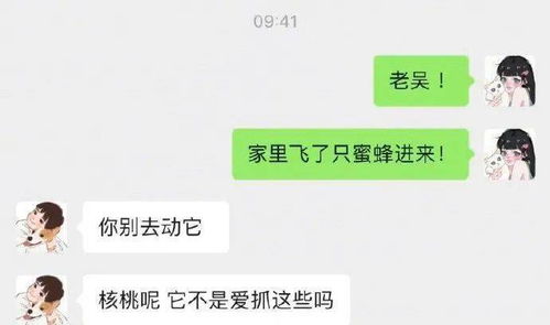 当你见到熟人但不记得名字