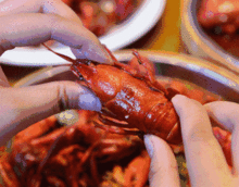 第一批吃虾子的人已经在炫耀了 南昌最火15家小龙虾开业时间表快收好 