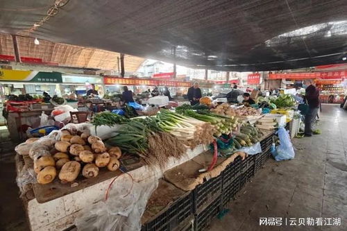 汕头有几个蔬菜批发市场(汕头衡山市场免费停车场在哪里)