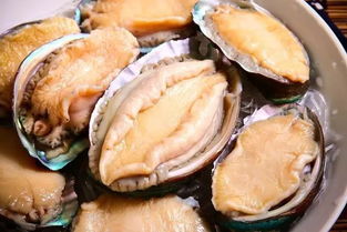 湛江史上最污的海鲜排行榜,你吃过几种 