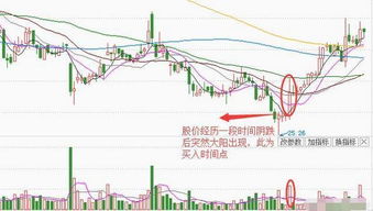 钱够了，为什么我只能申购1000股股票？