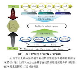 研究思路与方法：查重挑战下的应对策略