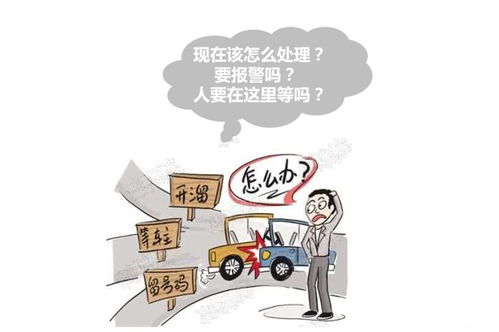 保险退保还能再买吗 购买的保险可以退保吗 