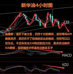 1.6现货原油 新华 齐鲁 最新行情分析及操作建议