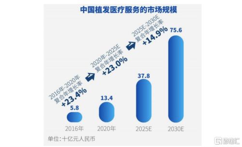 hk00572股票一股多少钱