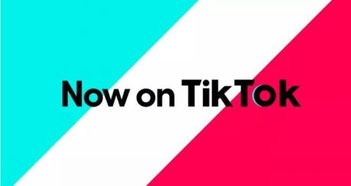 tiktok在线视频_TikTok 商业 账号