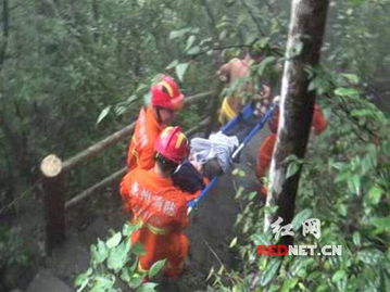 六旬游客爬山滑倒掉入20米山崖边 被树枝挂住获救 