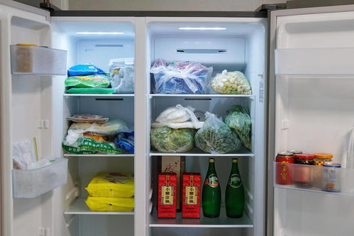 我花3000元买了台法式四门冰箱,感受到了便宜冰箱与贵冰箱的区别