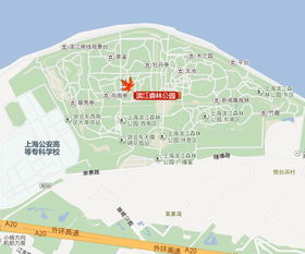 双城路属于宝山区哪个板块？