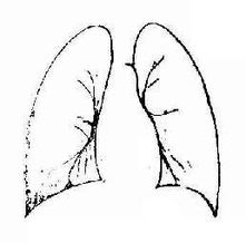 胸膜病变X线表现 呼吸系统X线诊断