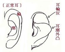 麻衣神婆阅人三十六术之二 耳朵