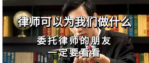 律师能为我们做什么？