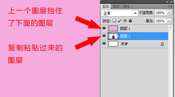 photoshop 拷贝过来的图层为什么看不到？